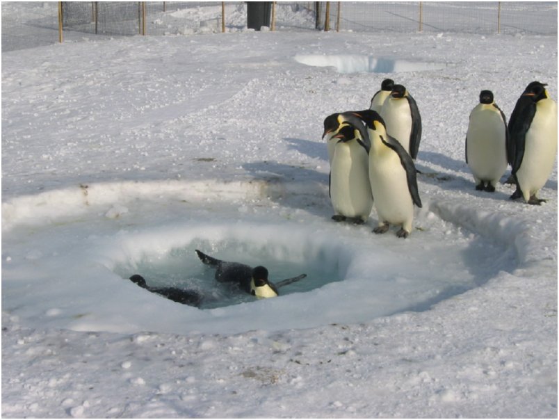 going for a swim